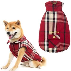 Large Expawlorer dog coat